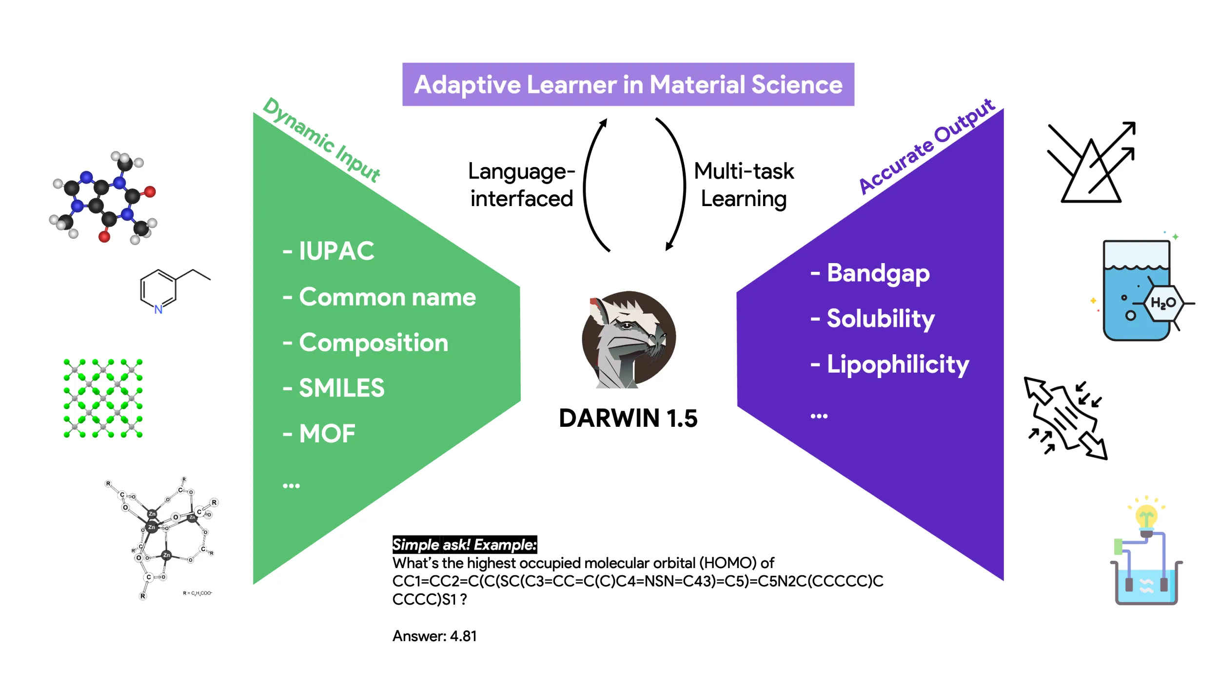 Darwin模型 Darwin模型.webp