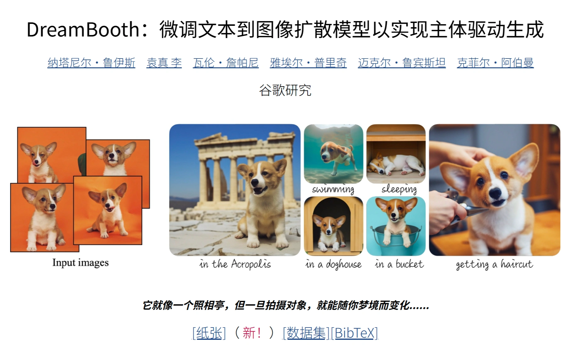 DreamBooth DreamBooth